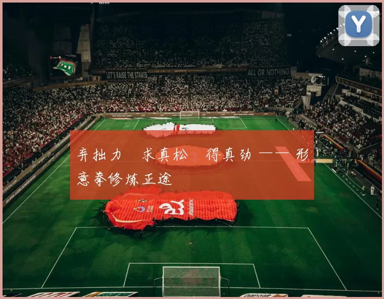 弃拙力・求真松・得真劲 —— 形意拳修炼正途