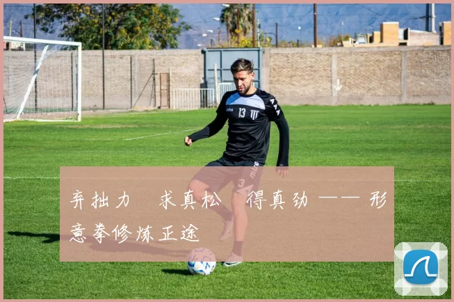 弃拙力・求真松・得真劲 —— 形意拳修炼正途