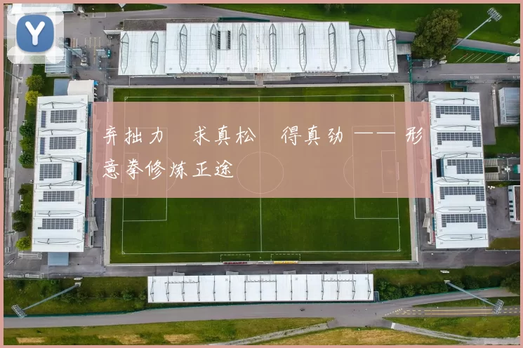 弃拙力・求真松・得真劲 —— 形意拳修炼正途