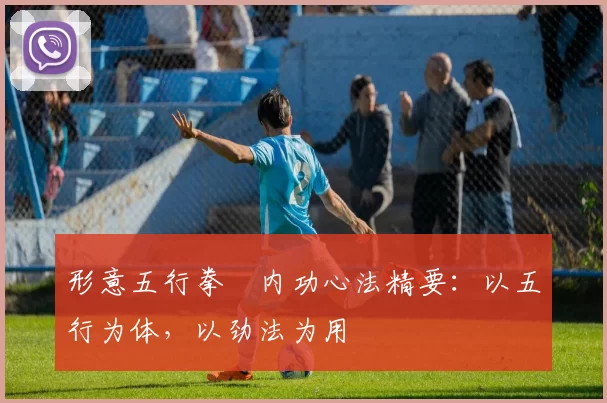 形意五行拳・内功心法精要：以五行为体，以劲法为用