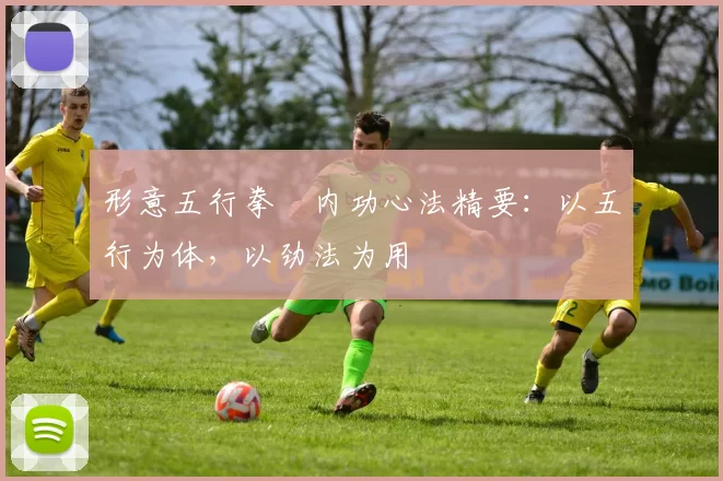 形意五行拳・内功心法精要:以五行为体,以劲法为用