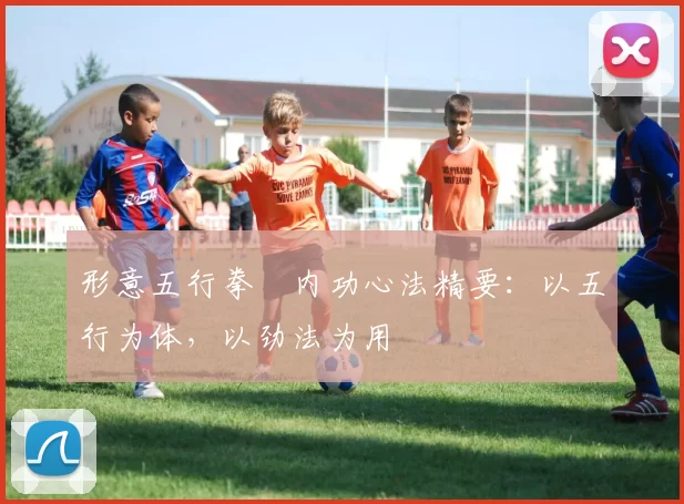 形意五行拳・内功心法精要：以五行为体，以劲法为用