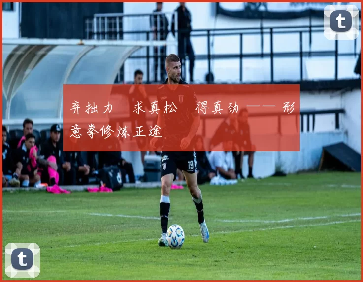 弃拙力・求真松・得真劲 —— 形意拳修炼正途