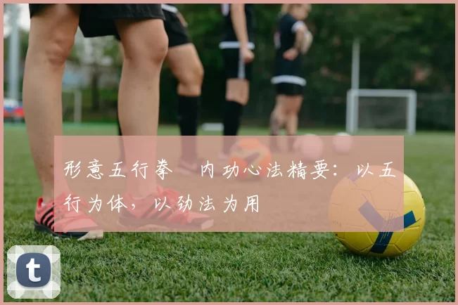 形意五行拳・内功心法精要：以五行为体，以劲法为用