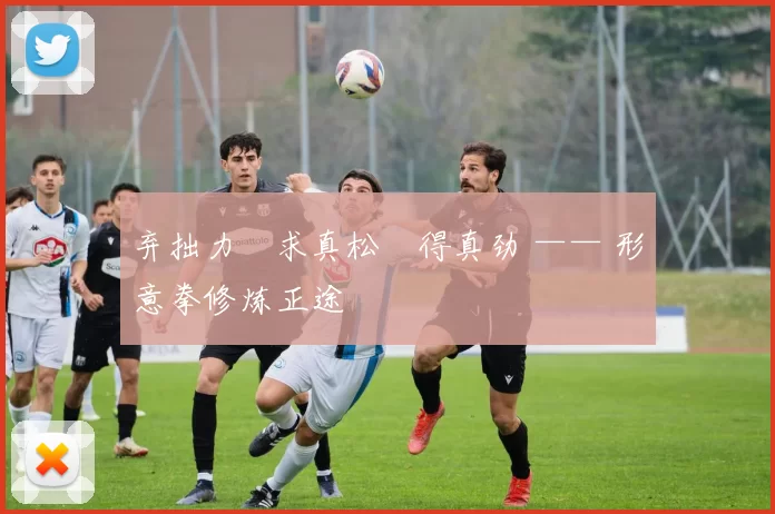 弃拙力・求真松・得真劲 —— 形意拳修炼正途