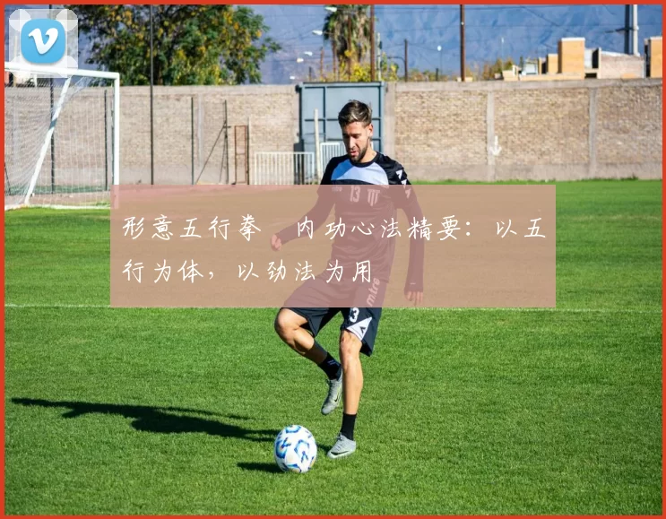 形意五行拳・内功心法精要：以五行为体，以劲法为用