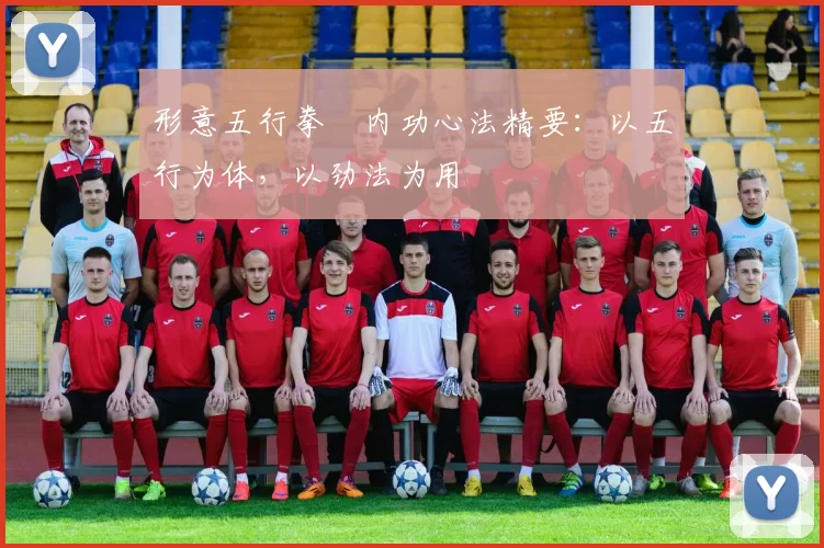 形意五行拳・内功心法精要：以五行为体，以劲法为用