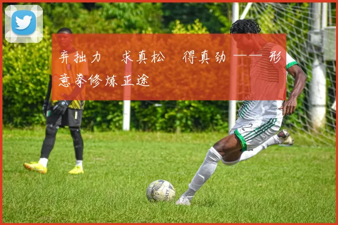 弃拙力・求真松・得真劲 —— 形意拳修炼正途