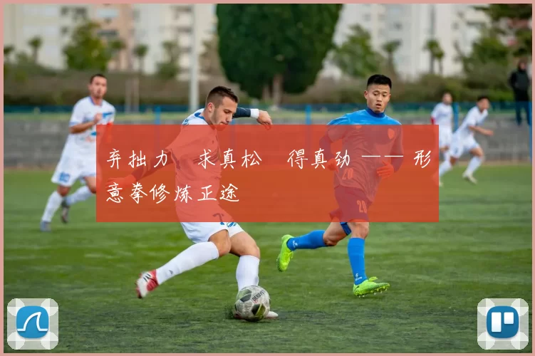 弃拙力・求真松・得真劲 —— 形意拳修炼正途