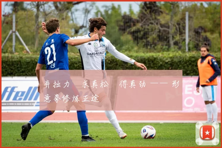 弃拙力・求真松・得真劲 —— 形意拳修炼正途