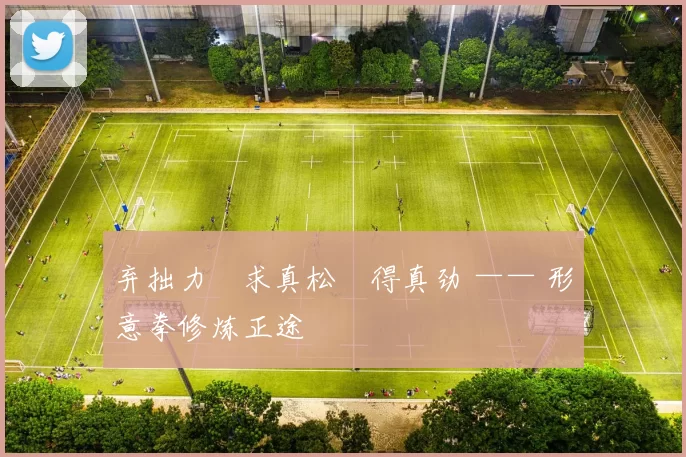 弃拙力・求真松・得真劲 —— 形意拳修炼正途