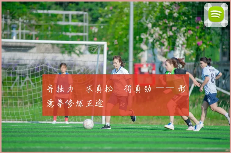 弃拙力・求真松・得真劲 —— 形意拳修炼正途