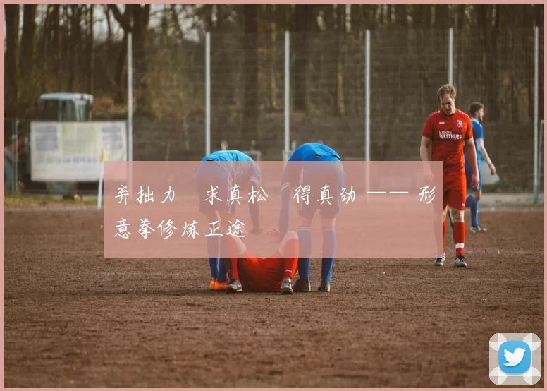 弃拙力・求真松・得真劲 —— 形意拳修炼正途