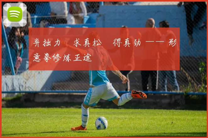 弃拙力・求真松・得真劲 —— 形意拳修炼正途