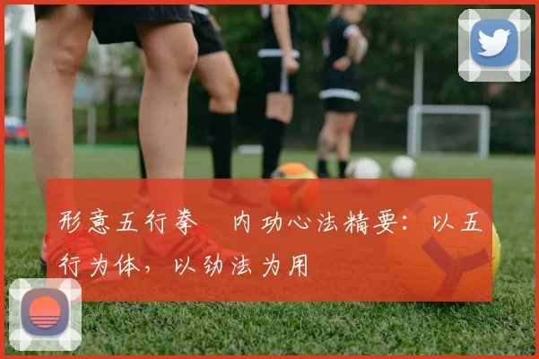 形意五行拳・内功心法精要：以五行为体，以劲法为用