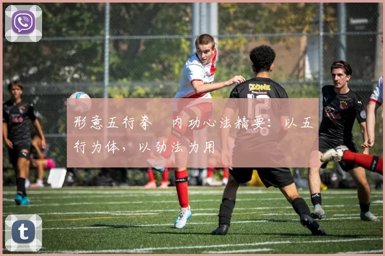 形意五行拳・内功心法精要：以五行为体，以劲法为用