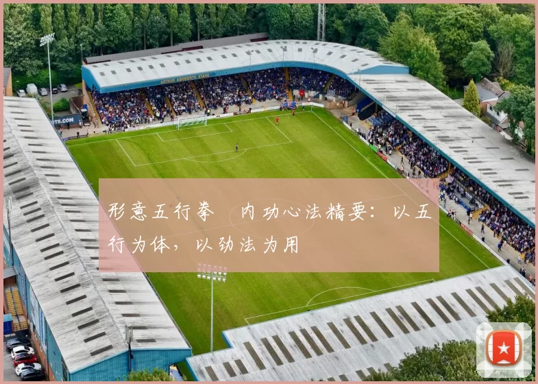 形意五行拳・内功心法精要：以五行为体，以劲法为用