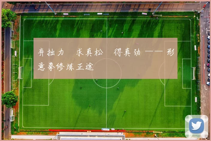 弃拙力・求真松・得真劲 —— 形意拳修炼正途