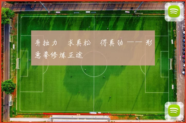 弃拙力・求真松・得真劲 —— 形意拳修炼正途