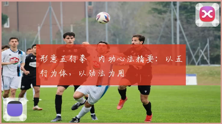 形意五行拳・内功心法精要：以五行为体，以劲法为用