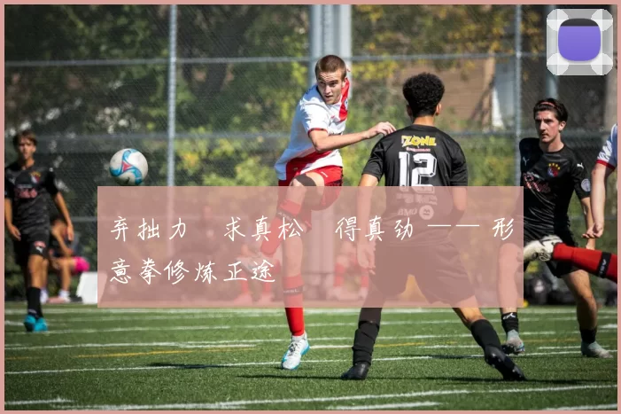 弃拙力・求真松・得真劲 —— 形意拳修炼正途