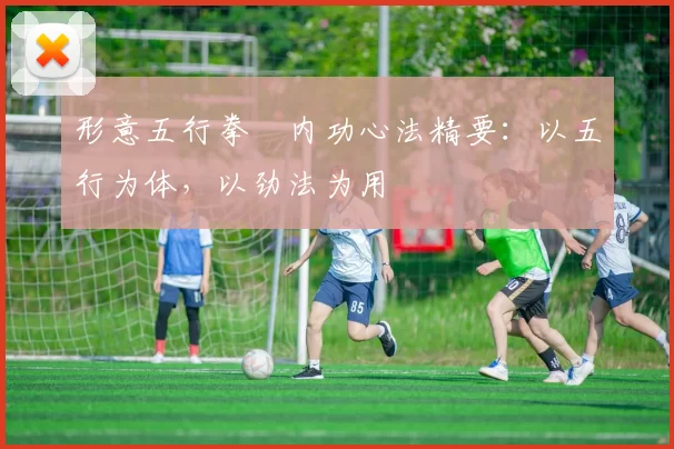 形意五行拳・内功心法精要:以五行为体,以劲法为用