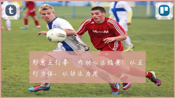 形意五行拳・内功心法精要：以五行为体，以劲法为用