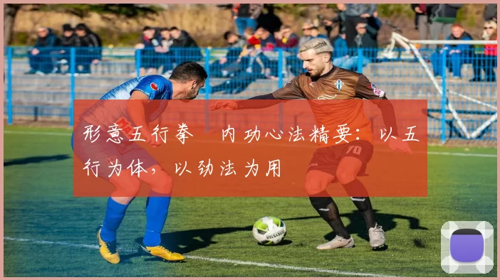 形意五行拳・内功心法精要：以五行为体，以劲法为用