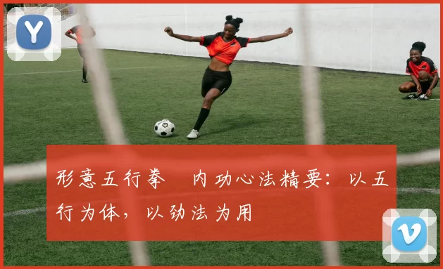 形意五行拳・内功心法精要：以五行为体，以劲法为用