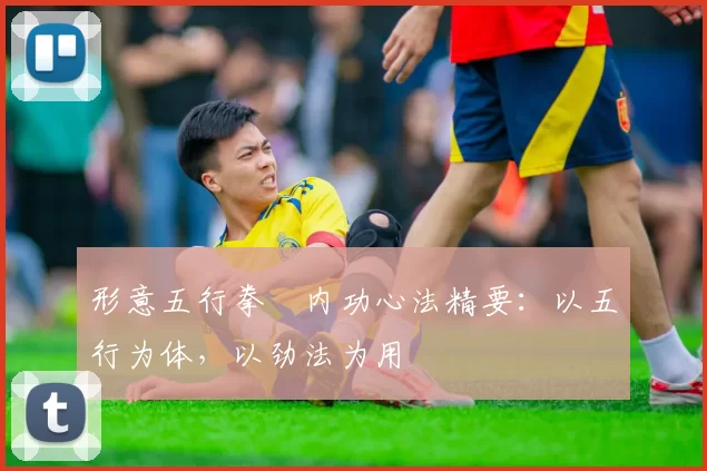 形意五行拳・内功心法精要:以五行为体,以劲法为用
