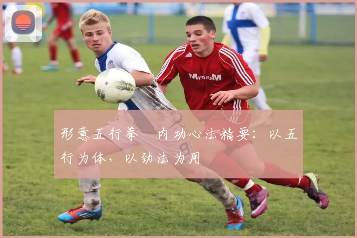 形意五行拳・内功心法精要：以五行为体，以劲法为用