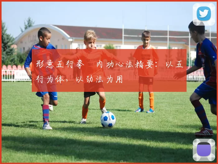 形意五行拳・内功心法精要:以五行为体,以劲法为用