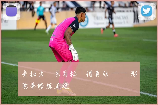 弃拙力・求真松・得真劲 —— 形意拳修炼正途