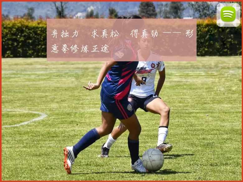 弃拙力・求真松・得真劲 —— 形意拳修炼正途