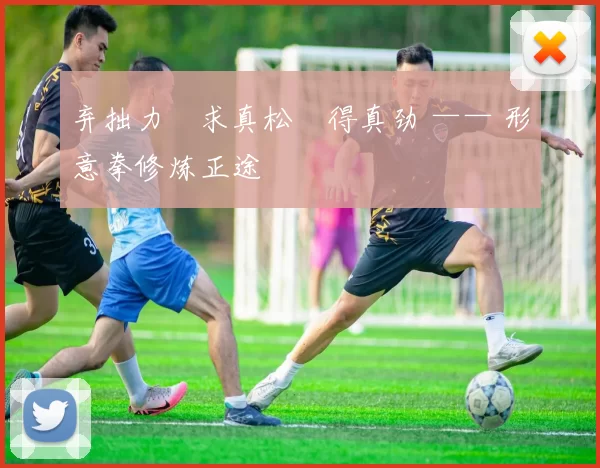 弃拙力・求真松・得真劲 —— 形意拳修炼正途