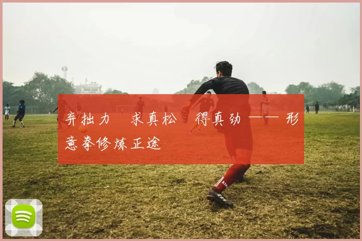 弃拙力・求真松・得真劲 —— 形意拳修炼正途