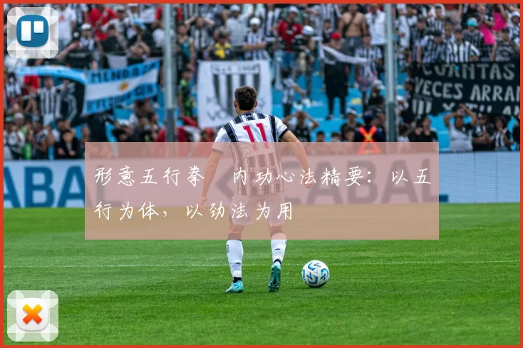 形意五行拳・内功心法精要：以五行为体，以劲法为用