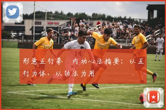 形意五行拳・内功心法精要：以五行为体，以劲法为用