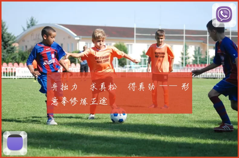 弃拙力・求真松・得真劲 —— 形意拳修炼正途