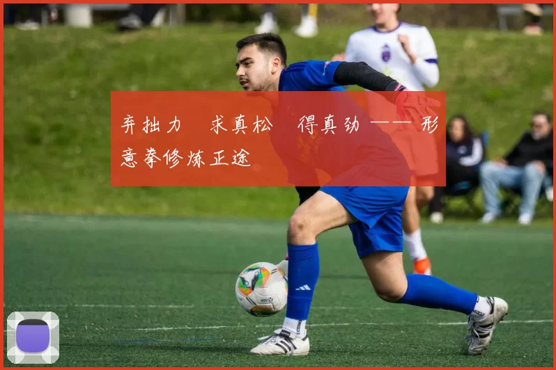 弃拙力・求真松・得真劲 —— 形意拳修炼正途