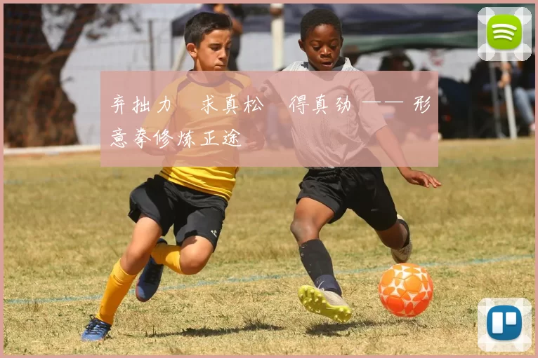 弃拙力・求真松・得真劲 —— 形意拳修炼正途