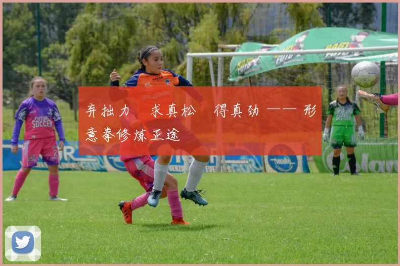 弃拙力・求真松・得真劲 —— 形意拳修炼正途