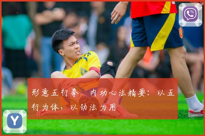 形意五行拳・内功心法精要：以五行为体，以劲法为用