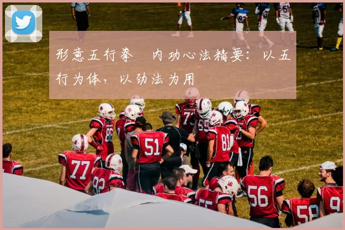 形意五行拳・内功心法精要:以五行为体,以劲法为用