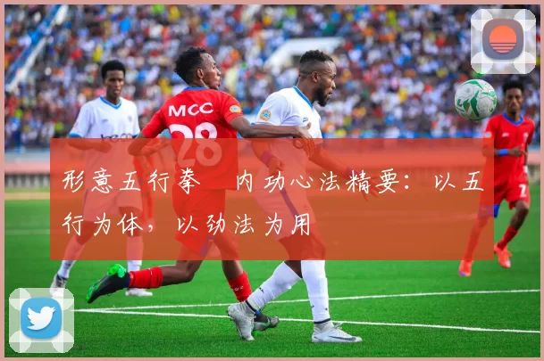 形意五行拳・内功心法精要：以五行为体，以劲法为用