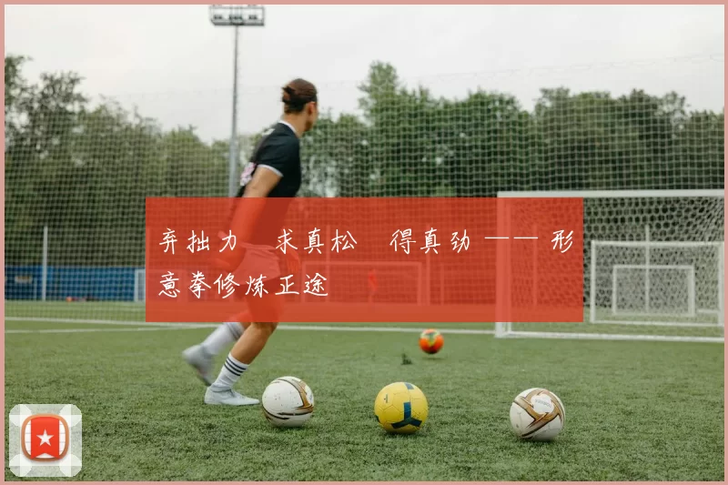 弃拙力・求真松・得真劲 —— 形意拳修炼正途