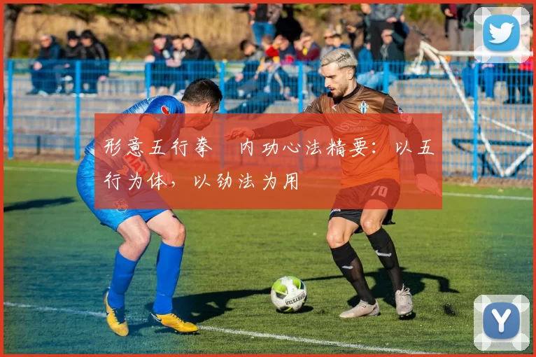 形意五行拳・内功心法精要：以五行为体，以劲法为用