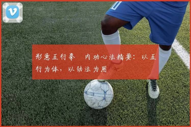 形意五行拳・内功心法精要：以五行为体，以劲法为用