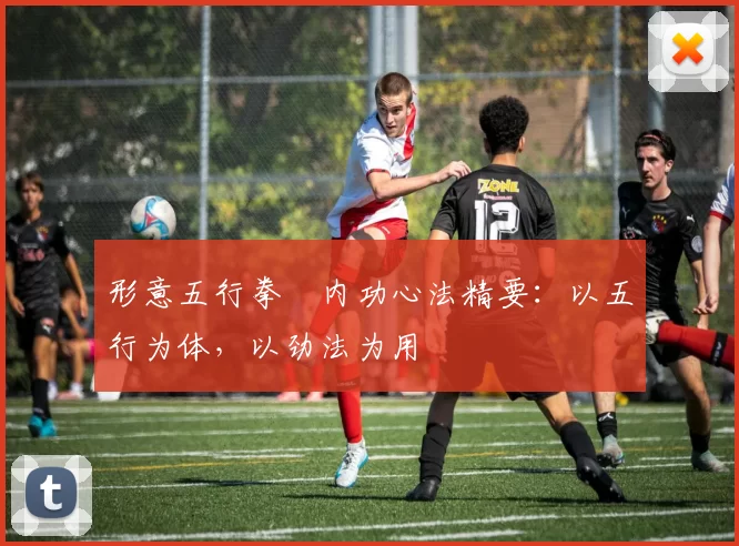 形意五行拳・内功心法精要：以五行为体，以劲法为用