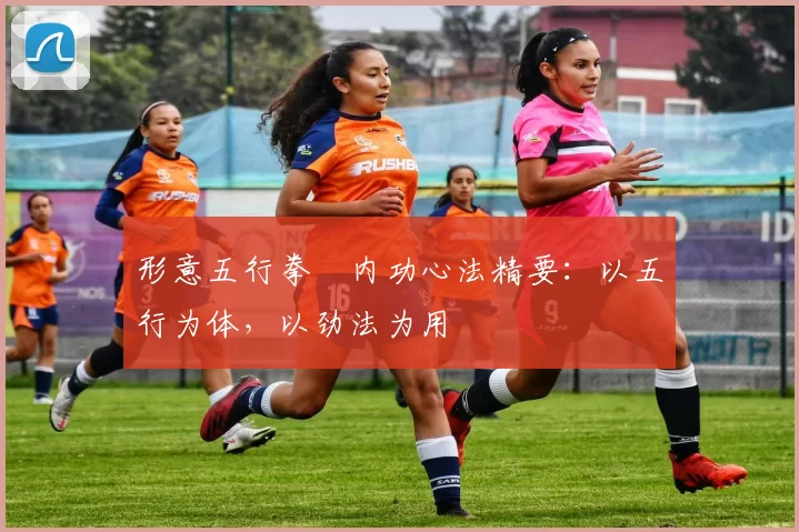 形意五行拳・内功心法精要：以五行为体，以劲法为用